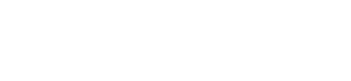 Human Plus Institute